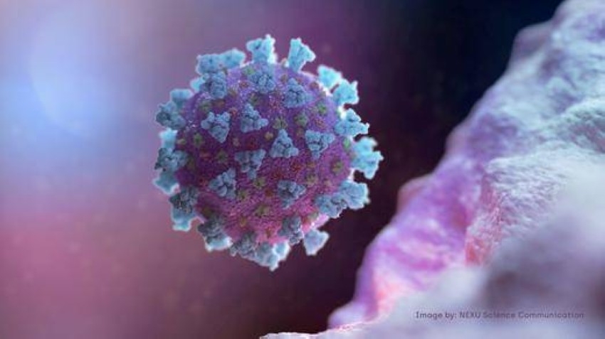 إسرائيل تعلن رصد متحور جديد من فيروس كورونا