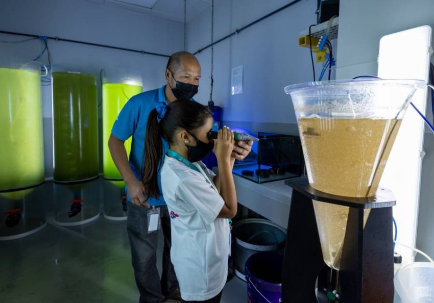 «ذا ناشونال أكواريوم – أبوظبي» يحول الأطفال إلى علماء أحياء بحرية