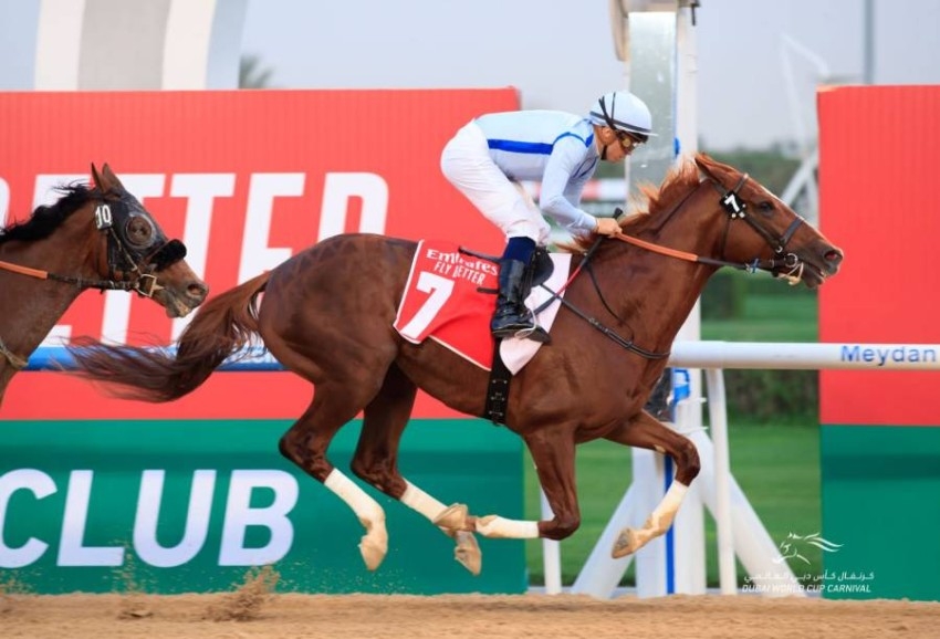 قرعة صعبة لخيول الإمارات في كأس دبي العالمي