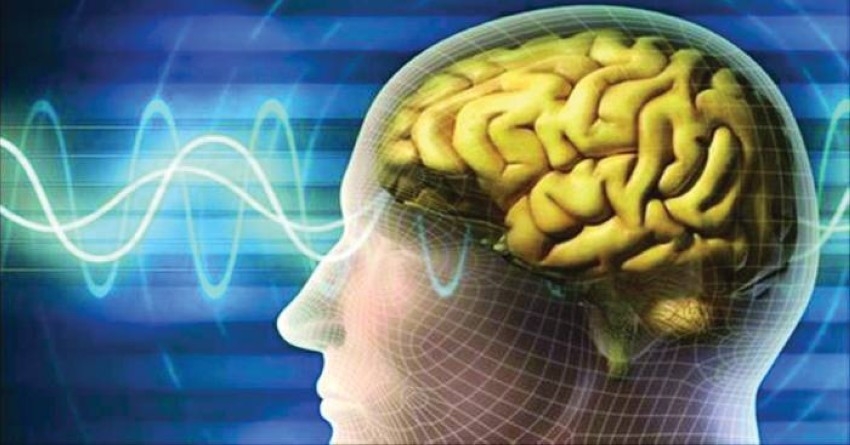 قراءة الدماغ.. مرحلة جديدة من التفاعل الرقمي