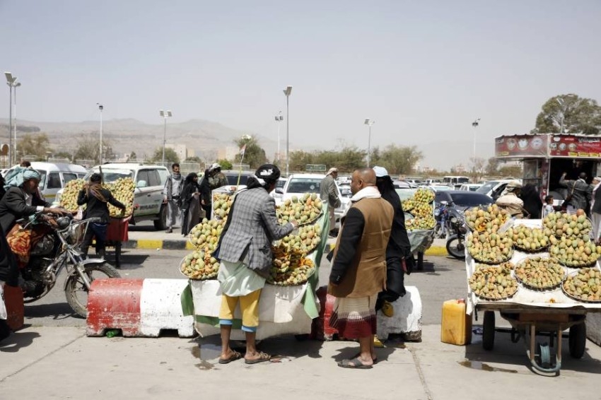 ازدهار سوق التين الشوكي "الصبار" في اليمن