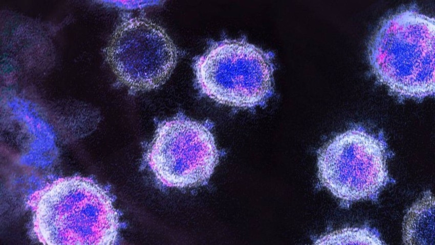 دراسة: خلايا مناعية لعلاج مرض التصلب المتعدد