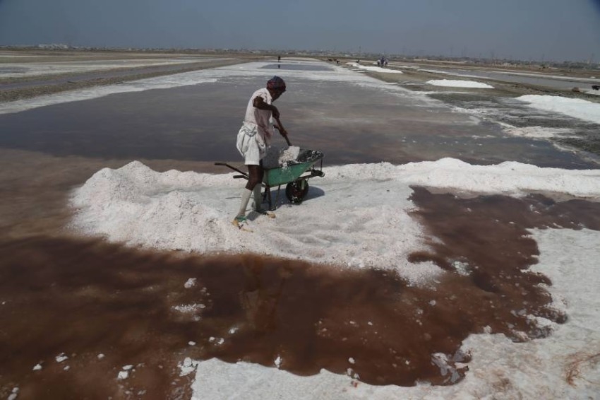 حقول ملح بحري في باكستان
