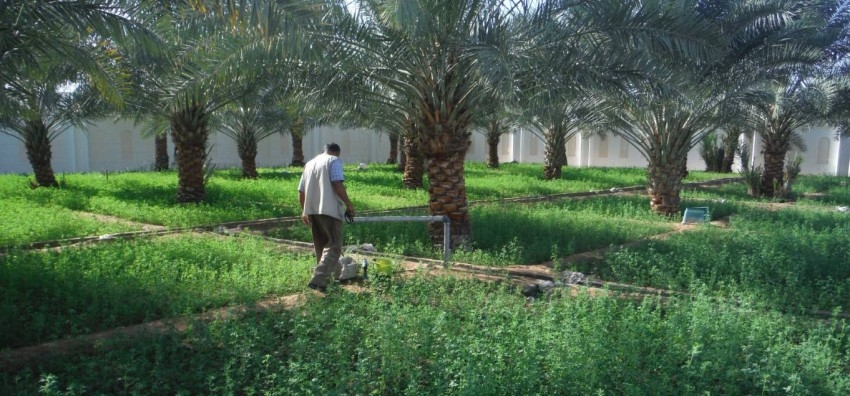 هيئة البيئة – أبوظبي تسلّط الضوء على إنجازاتها خلال عام 2021 وجهودها للمحافظة على المياه الجوفية