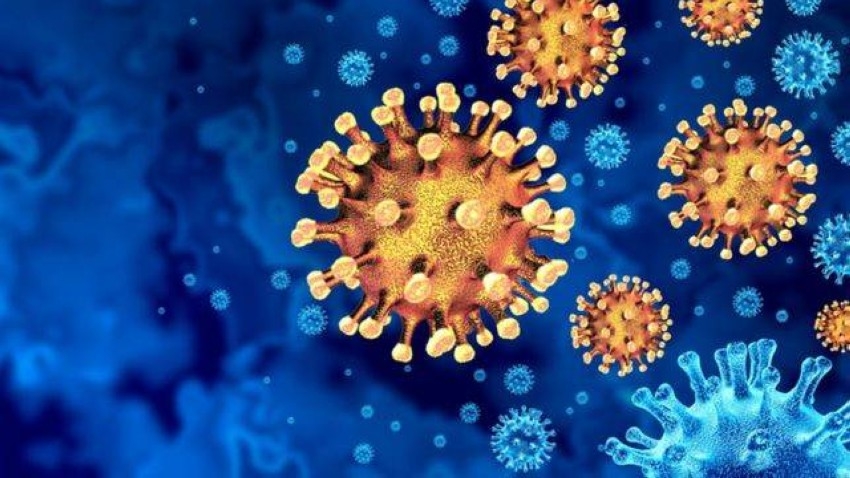 «الصحة» تكشف عن 249 إصابة جديدة بفيروس كورونا و385 حالة شفاء
