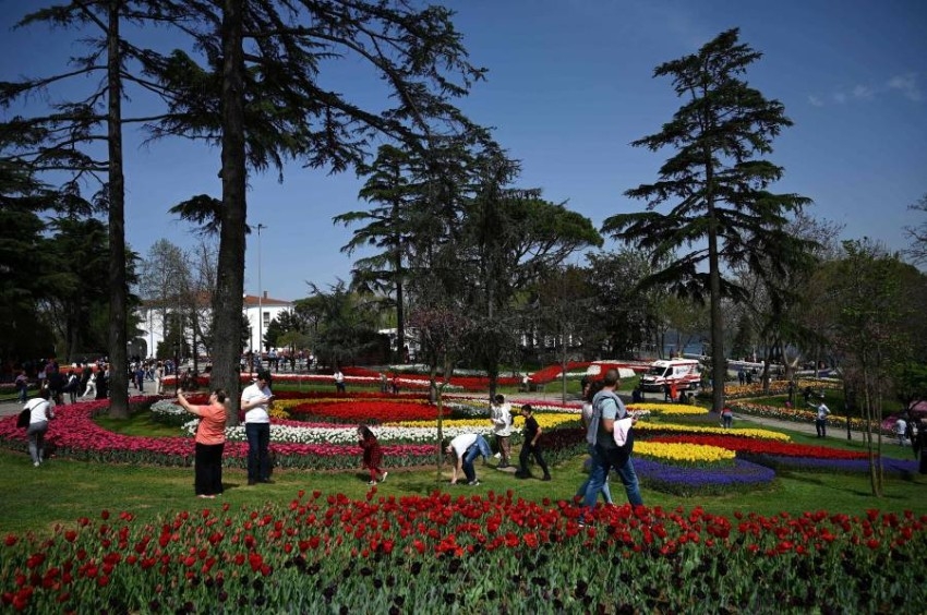 مهرجان التوليب في حديقة إميرجان بتركيا
