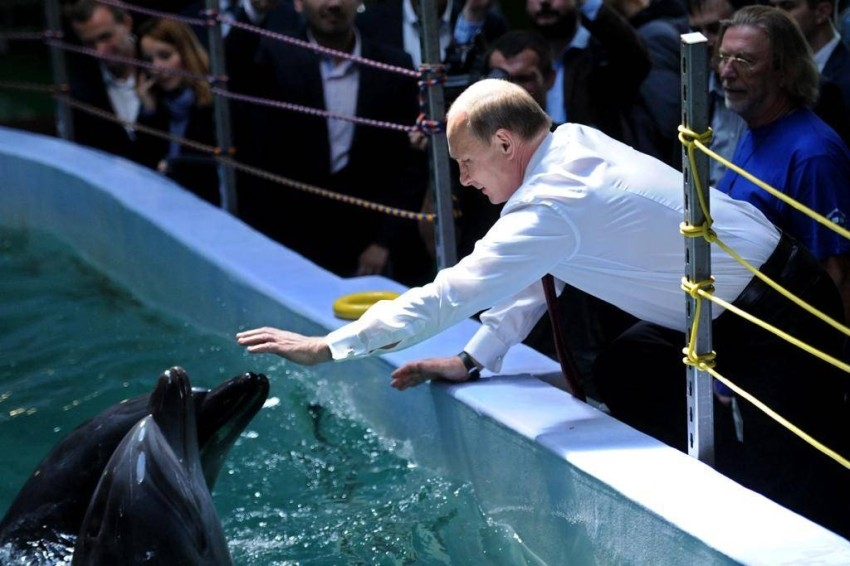 روسيا تنشر جيشاً من الدلافين في البحر الأسود