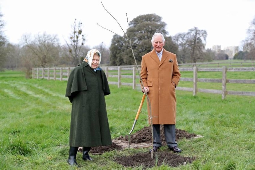 احتفاء بالملكة.. الأمير تشارلز يكرم 70 شجرة
