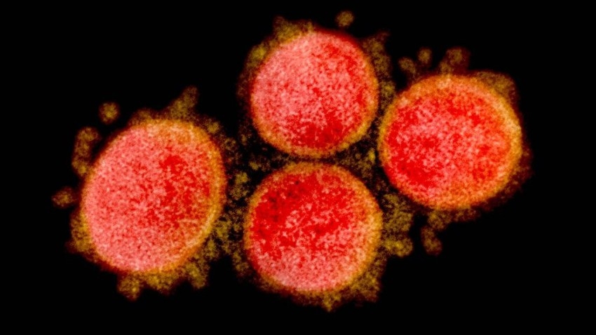 دراسة: سلالتان من أوميكرون يمكنهما خداع المناعة