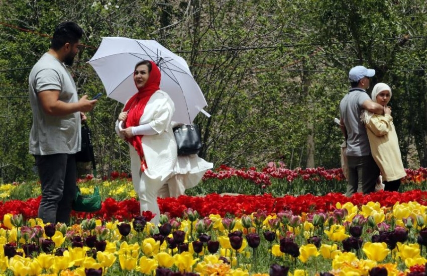 مهرجان أزهار التوليب بمدينة أسورا في إيران