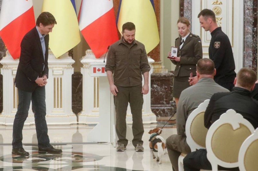 زيلينسكي يمنح كلباً أوكرانياً وساماً لمساهمته في الكشف عن الألغام