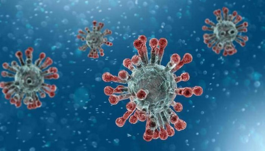 «الصحة» تكشف عن 233 إصابة جديدة بفيروس كورونا و284 حالة شفاء