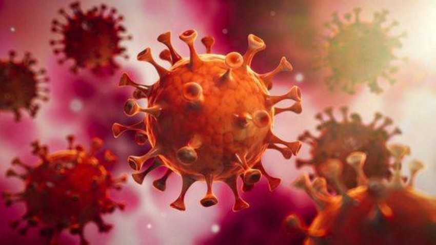 «الصحة» تكشف عن 312 إصابة جديدة بفيروس كورونا
