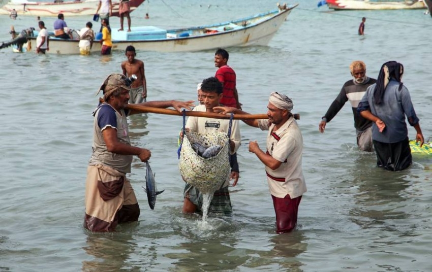صيادو سمك يمنيون خلال تفريغ حصيلتهم في مدينة الحديدة