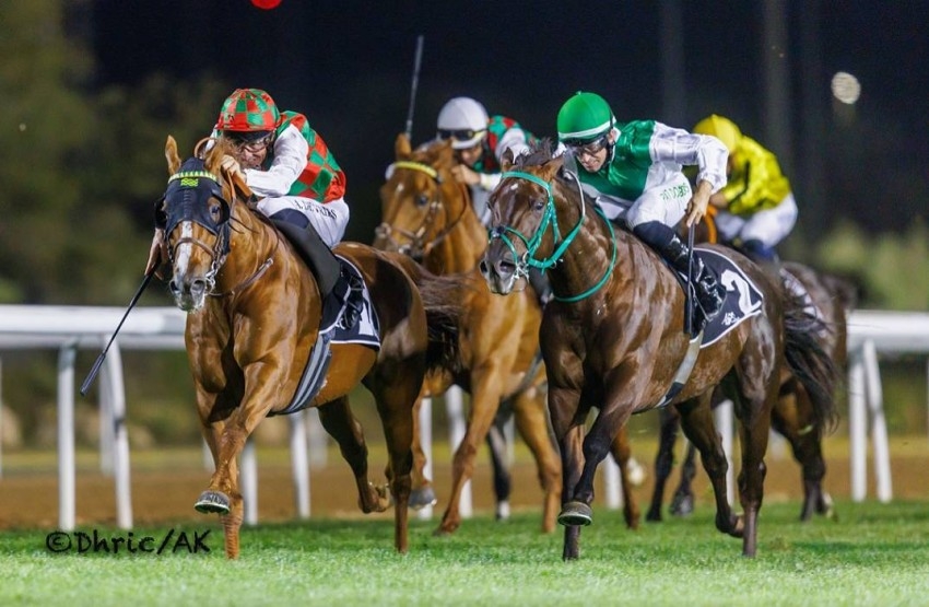 دعم خليفة بن زايد يعزز مكانة الإمارات العالمية في رياضة ركوب الخيول