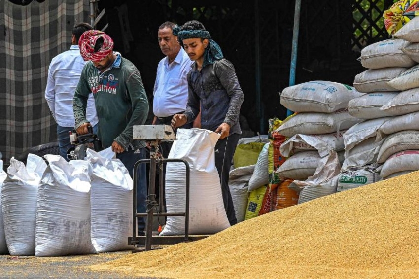 باحث: القمح يدخل صلب نزاع الأسواق العالمية ويهدد الأسواق الهشة