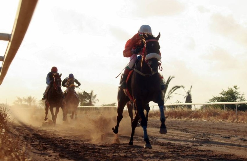 سباقات على هامش "كأس الفرسان الليبي" في مدينة بنغازي