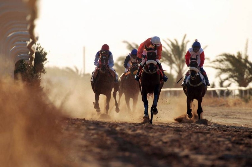 سباقات على هامش "كأس الفرسان الليبي" في مدينة بنغازي