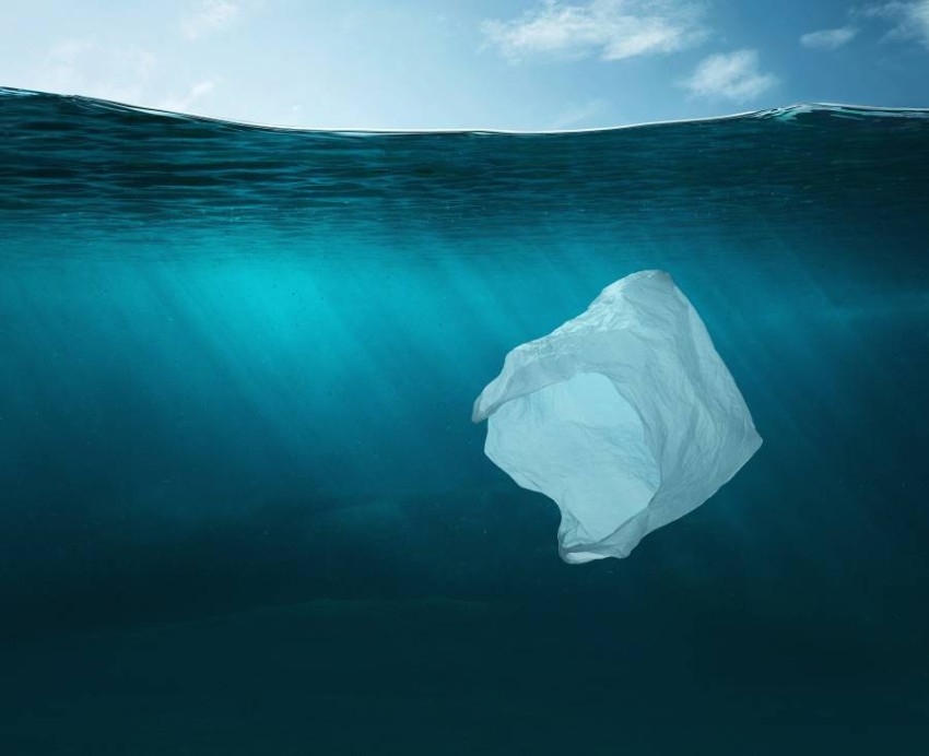 «بيئة أبوظبي» تعرّف باللائحة التنفيذية بشأن استخدام المواد البلاستيكية المستخدمة لمرة واحدة