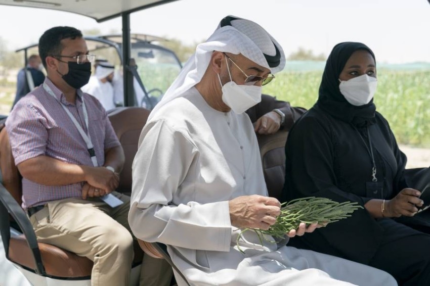 رئيس الإمارات يطلع على مبادرات المركز الدولي للزراعة الملحية «إكبا» في دبي