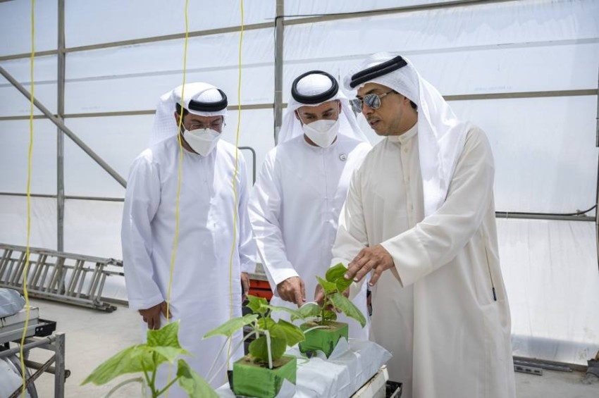 رئيس الإمارات يطلع على مبادرات المركز الدولي للزراعة الملحية «إكبا» في دبي