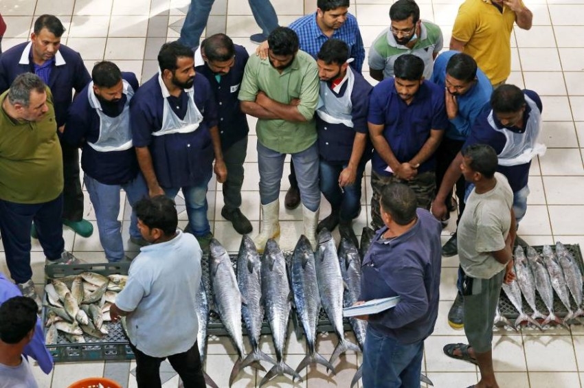 سوق الأسماك بالكويت