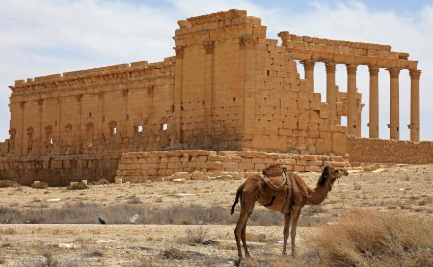 أطلال تدمر الأثرية في سوريا ... شموخ رغم الوقت