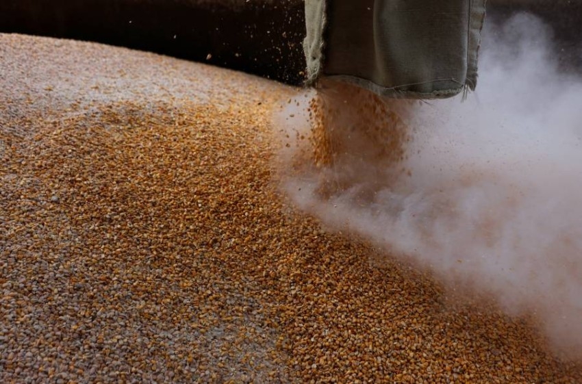 تراجع صادرات الحبوب الأوكرانية 47% في يونيو على أساس سنوي