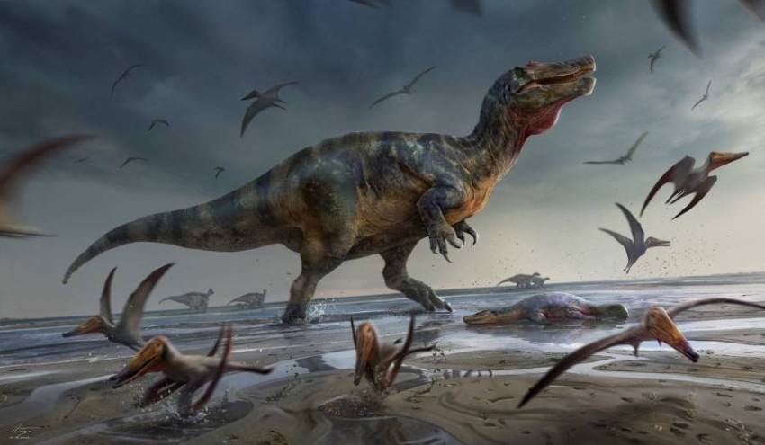 اكتشاف بقايا أكبر ديناصور آكل للحوم في أوروبا بجزيرة وايت في إنجلترا