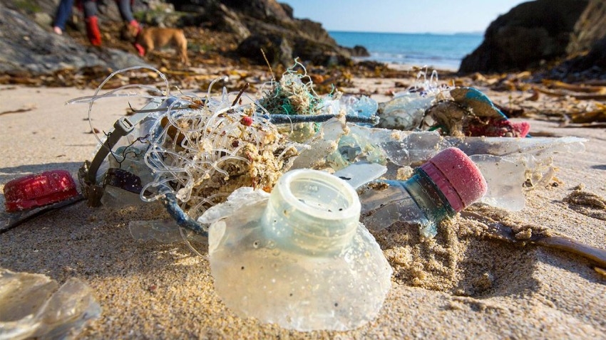13.5 مليون طن بلاستيك تلوث المحيطات سنوياً