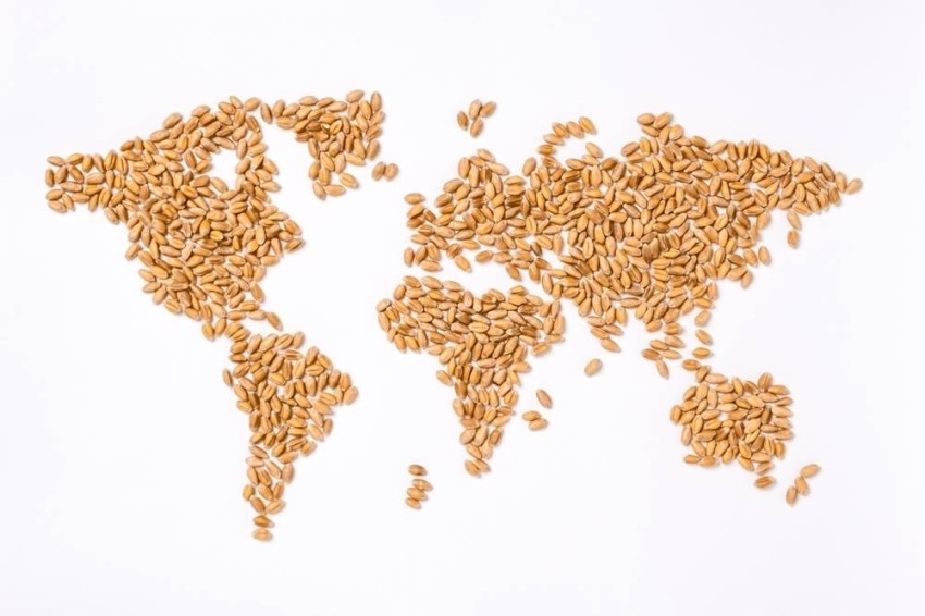 توقعات بتراجع تضخم أسعار الغذاء عالمياً