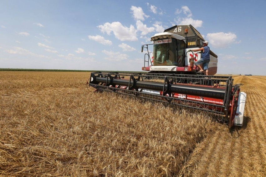 تراجع سعر القمح الروسي مدفوعاً بخفض الضرائب وموسم الحصاد