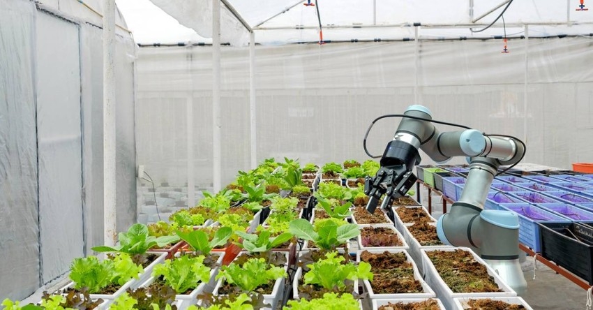روبوتات تقتحم قطاع الزراعة في أمريكا