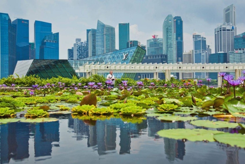 سنغافورة تطلق برنامج بـ23.5 مليون دولار لكشف آثار تغير المناخ