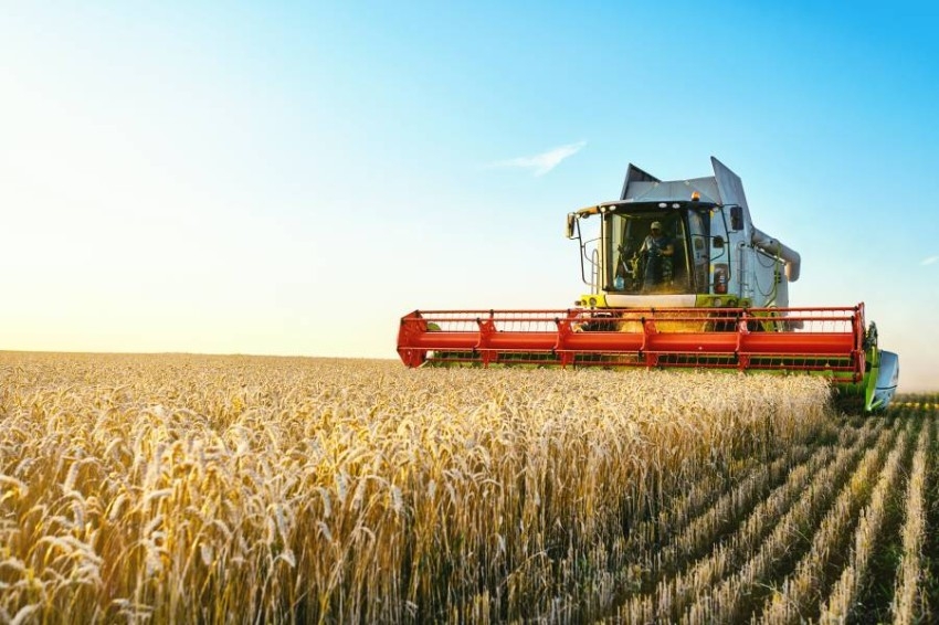 تركيا وروسيا وأوكرانيا والأمم المتحدة يبحثون صادرات الحبوب