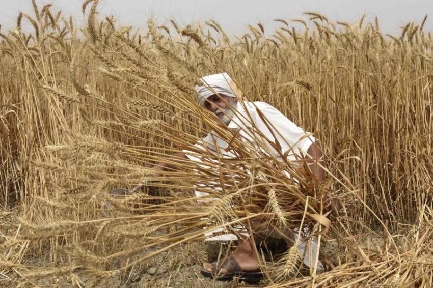 باكستان تدعو المجتمع الدولي للعمل على زيادة إنتاج الغذاء