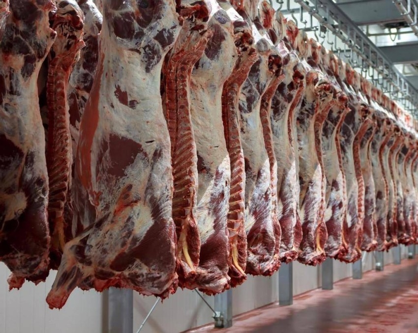 السعودية ترفع الحظر المفروض على استيراد اللحوم من فرنسا
