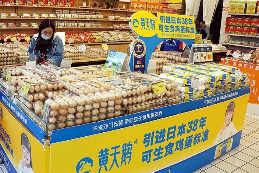 موجات الحر.. تدفع أسعار البيض في الصين إلى الارتفاع