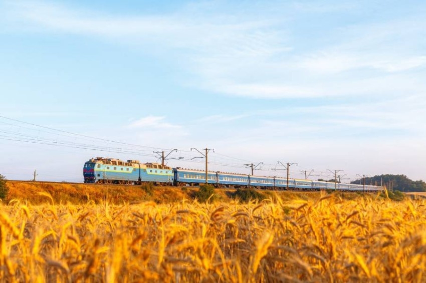 ألمانيا: وصول أول قطار محمل بالذرة من أوكرانيا