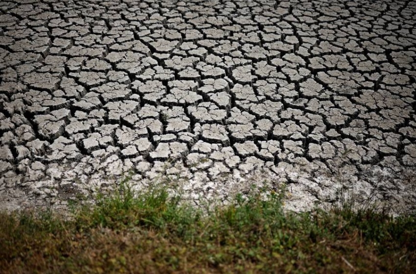 أوروبا تواجه الجفاف الأسوأ منذ 500 عام