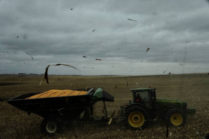 موجة الجفاف تثقل كاهل أسواق الحبوب الأمريكية