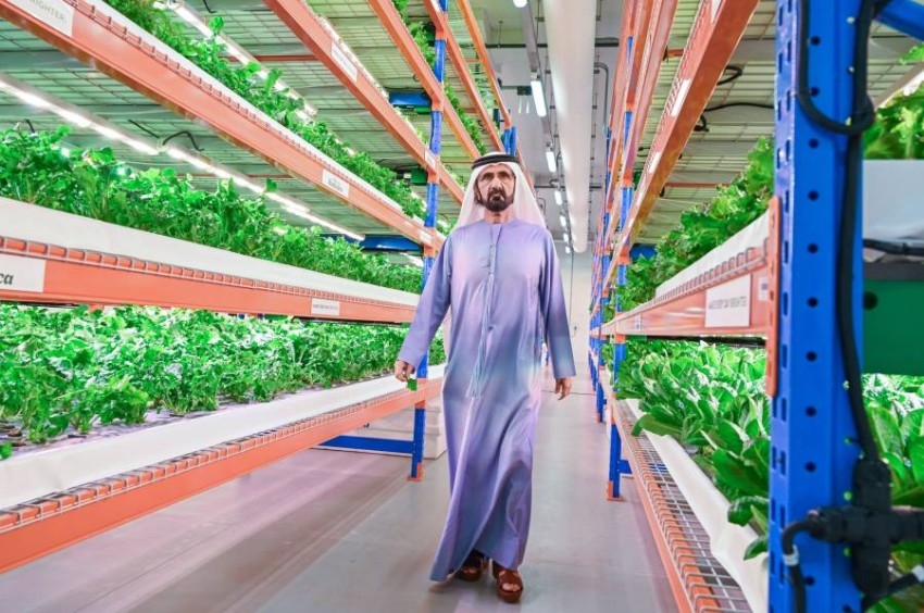 محمد بن راشد يزور أكبر مجمع زراعي رأسي في العالم