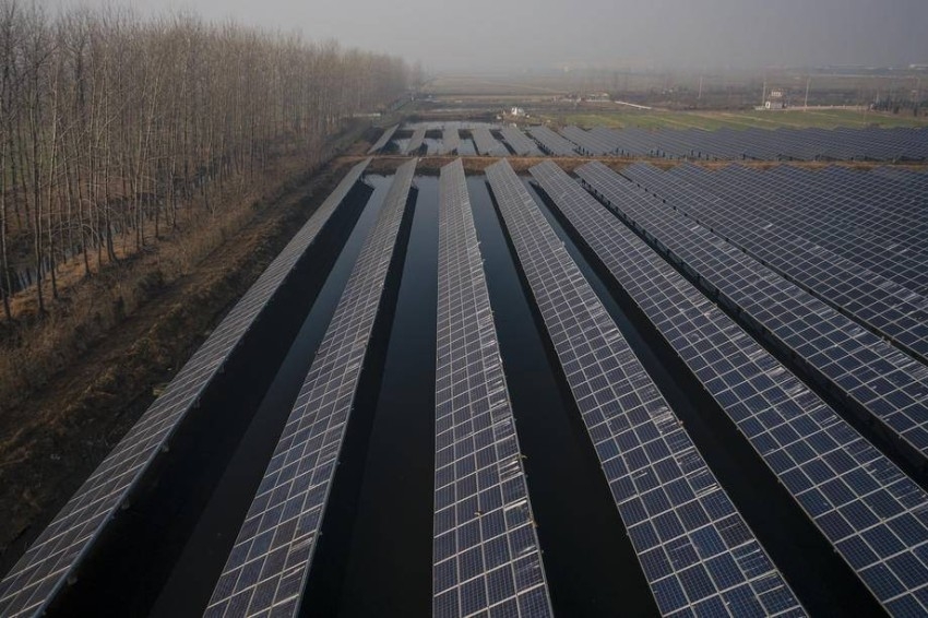 الألواح الشمسية تتفوق على مزارع الرياح في سباق الصين للطاقة النظيفة