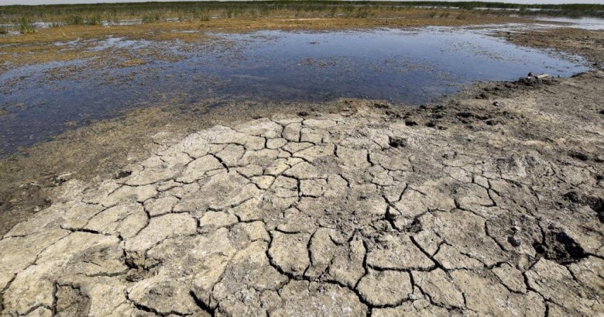 وزيرالبيئة العراقي: الدولة تتعرض لخسائر كبيرة جراء التغييرات المناخية