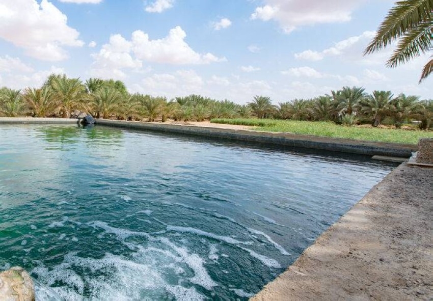 شركة مقاولات مصرية تنفذ مشروعاً لنقل المياه في الإمارات بـ1.9 مليار جنيه