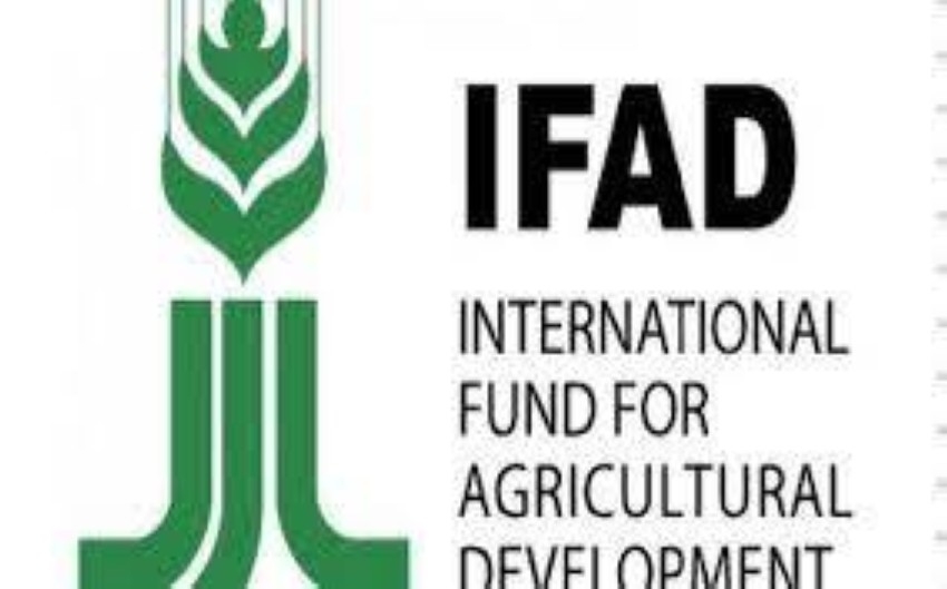 الصندوق الدولي للتنمية الزراعية يقدم تمويلاً بملياري دولار لمصر