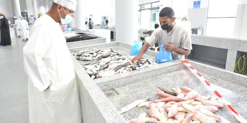 عُمان: انخفاض إنتاج الأسماك 22.4% حتى أكتوبر الماضي