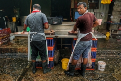 2025年外劳配额:明年1月19日至3月31日开放申请