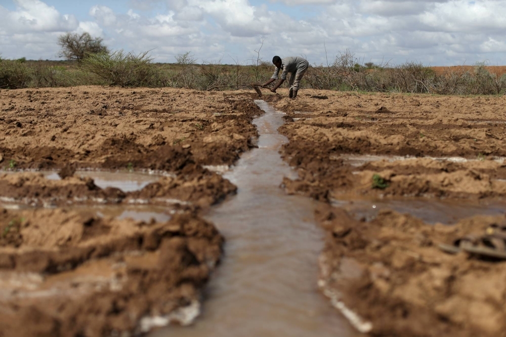 A farmer works in an irrigated field near the village of Botor, Somaliland in April 2016. This year’s El Nino is set to be particularly severe as it coincides with record global temperatures.