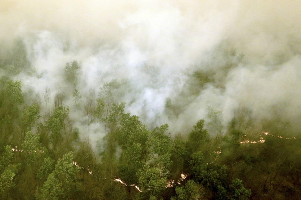 Thick smoke rises as a fire burns in a forest at Ogan Komering Ilir Regency, Indonesia's South Sumatra province, in 2015.